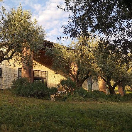 Agriturismo Bosco Magico 베로나 외부 사진