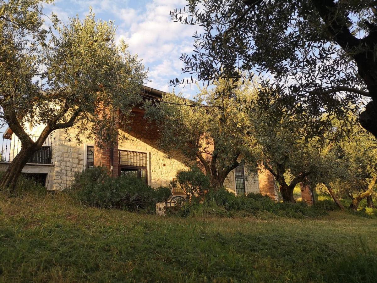 Agriturismo Bosco Magico 베로나 외부 사진