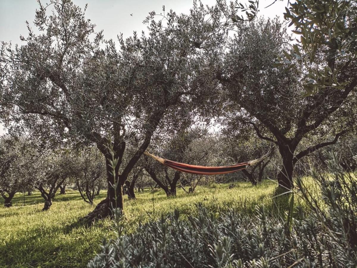Agriturismo Bosco Magico 베로나 외부 사진