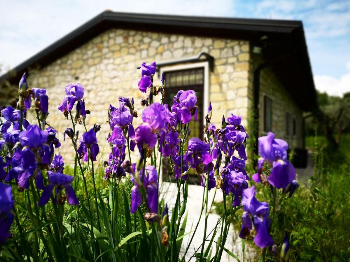 Agriturismo Bosco Magico 베로나 외부 사진