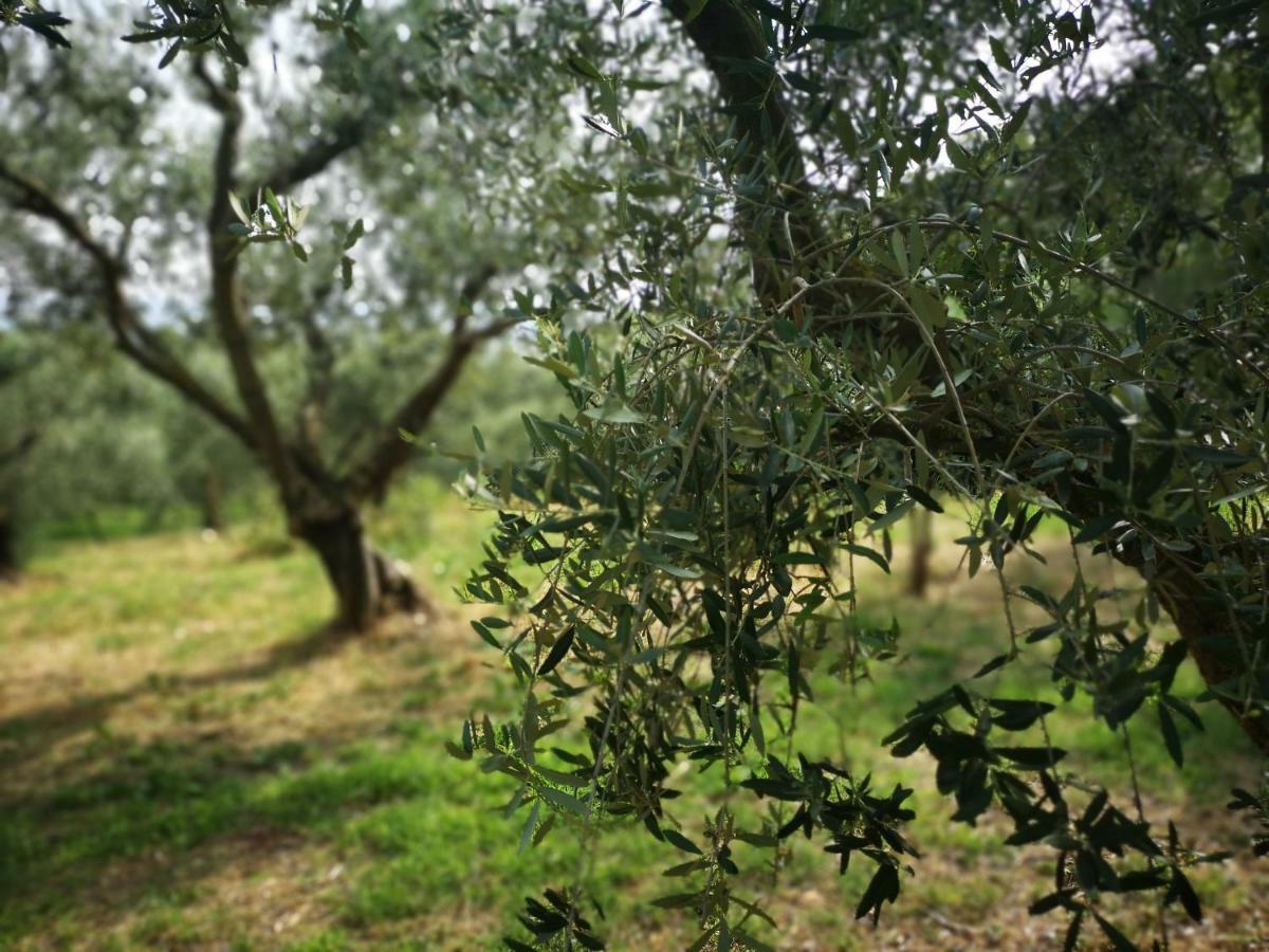 Agriturismo Bosco Magico 베로나 외부 사진